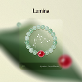 Astro-Adjust Aquarius: Cosmic Code Integrator