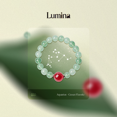 Astro-Adjust Aquarius: Cosmic Code Integrator