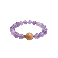 Astro-Adjust Scorpio: Soul Phoenix Resurrection